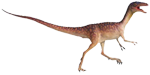 Compsognathus